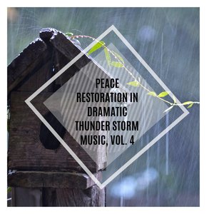 Persistent Relaxing Light Rain