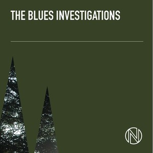 The Blues Investigations