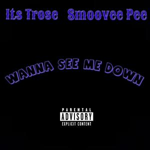 Wanna See Me Down (Explicit)