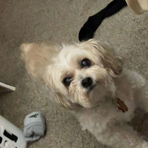 Enchanted (feat. zAff)