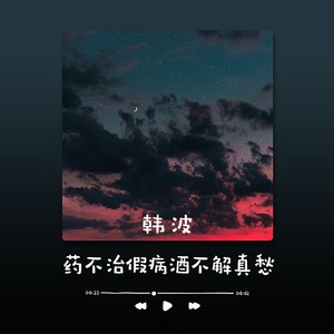 药不治假病酒不解真愁