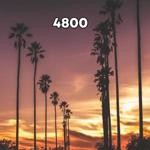 4800 (feat. Kashh Mir) (Explicit)