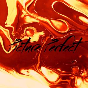 Picture Perfect (Explicit)