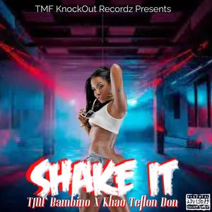 Shake It (Explicit)