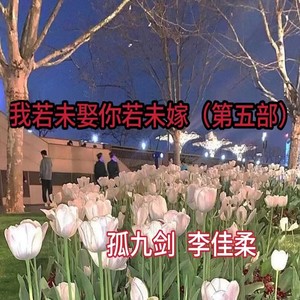 孤九剑 - 我若未娶你若未嫁 (第五部)