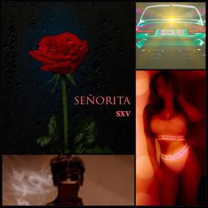 señorita (Explicit)