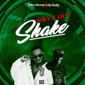 Shey e dey shake (feat. Dj Ruffy)