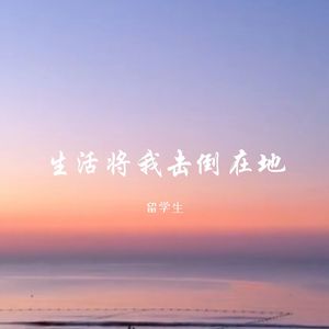热度大乱斗2.0-留学生