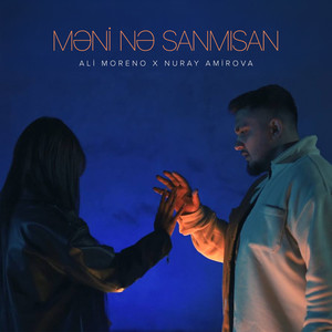 Məni Nə Sanmısan
