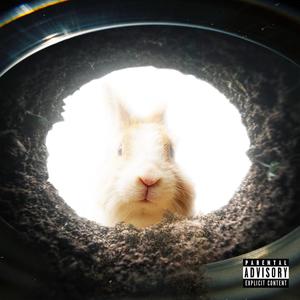 Rabbit Hole (Explicit)