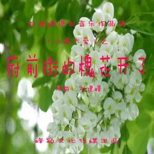 府前街的槐花开了