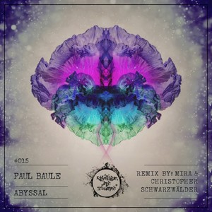 Opaque (Mira & Christopher Schwarzwalder Remix)