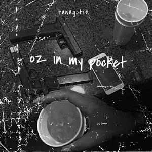 oz in my pocket (Explicit)