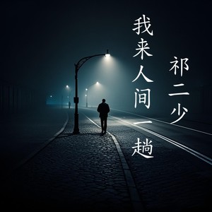 我来人间一趟