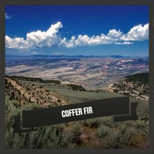 Coffer Fir