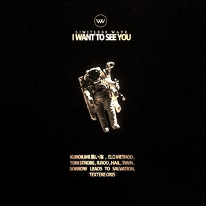 I Want To See You (Textere Oris Remix)