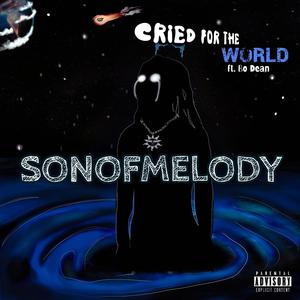 Cried For The World (feat. Bo Dean) (Explicit)