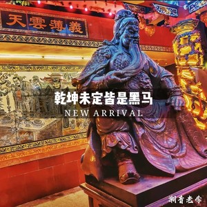 乾坤未定皆是黑马 (Duy Mix)