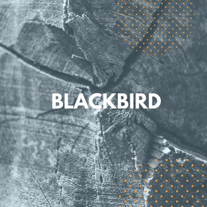 Blackbird