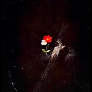 O Maior Vilão Sou Eu