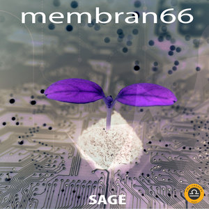 SAGE