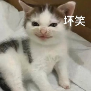 The Hills（哈基米）