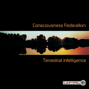 Consciousness Federation