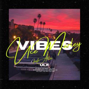 VIBES (feat. Lil Allen)