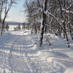 The Sound of Snow(feat. Flemming Agerskov, Peter Hansen & Mikkel Find)