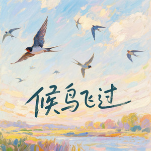 候鸟飞过