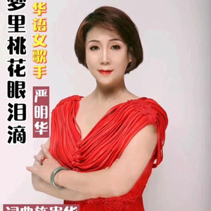 梦里桃花眼泪滴 (伴奏)