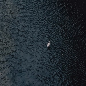 BLACK (feat. SILENT KILLA JOINT & TIMM)