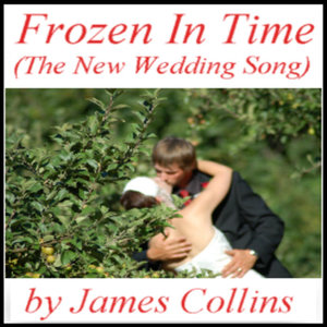 Frozen in Time (The New Wedding Song)