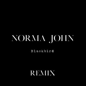 Blackbird (Remix)