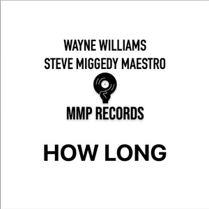 How Long (Wayne & Miggedy's Xxtended Disko Slap)