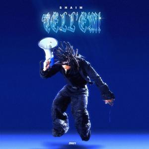 VISA FLOW (Explicit)