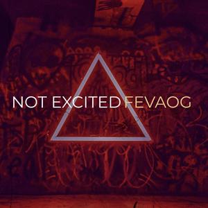 Not Excited (Explicit)