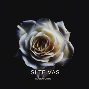 SI TE VAS