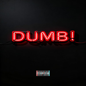 Dumb! (Explicit)