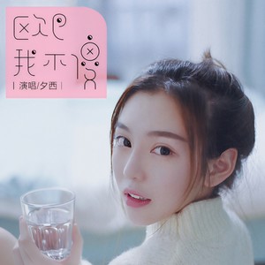 欧巴我不傻封面