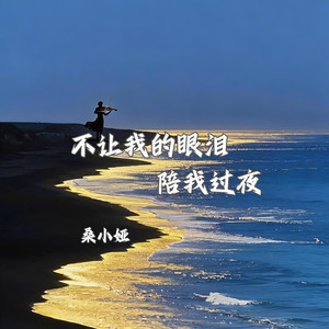 不让我的眼泪陪我过夜