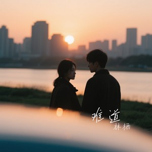难道 (深情版)封面