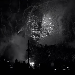 Amnesia(你像是宇宙里的星辰)