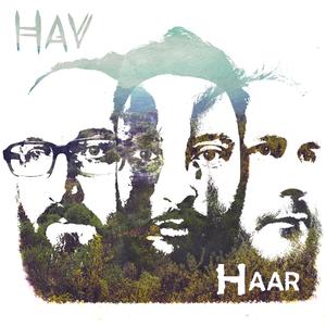 Haar