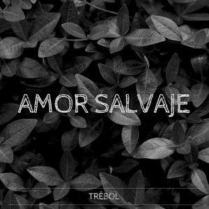 Amor Salvaje