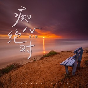 胡子歌 - 痴心绝对 (DJ豪大大版)