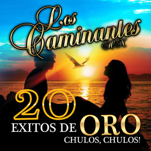 20 Exitos De Oro Chulos, Chulos!