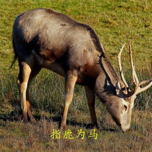 我想做你心上人