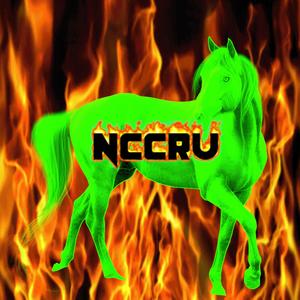 Realhamburglar - NCCRU (feat. Ubvoiu)