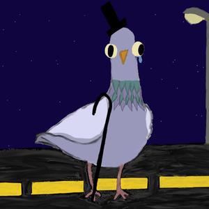 Melancholic Pigeon